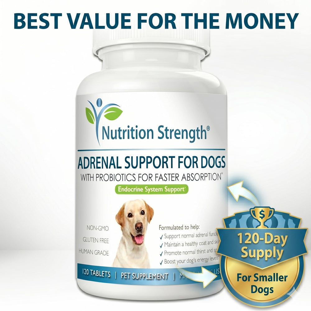 Nutrition Strength Adrenal Support for Dogs coat close-up shows shinier, healthier fur.