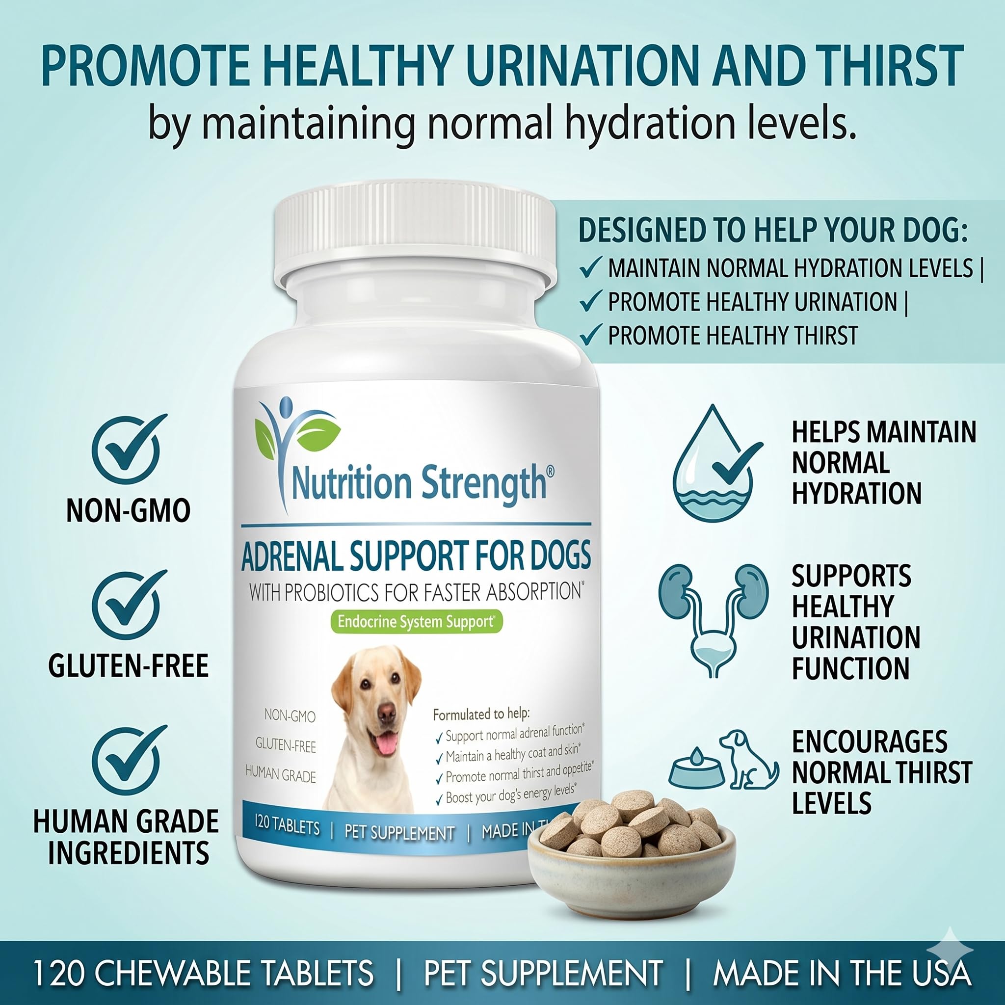 Nutrition Strength Adrenal Support for Dogs energy-level image suggests maintained vitality.