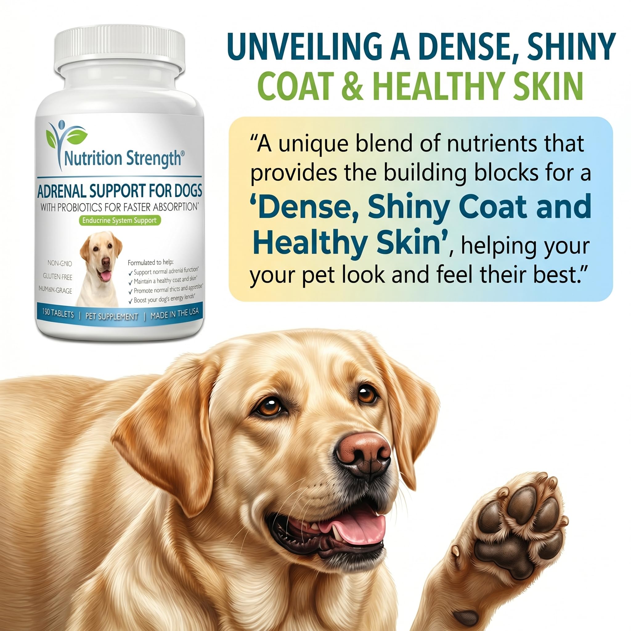 Nutrition Strength Adrenal Support for Dogs herbal blend image highlights organic ingredients aiding balance.