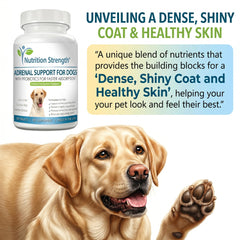 Nutrition Strength Adrenal Support for Dogs herbal blend image highlights organic ingredients aiding balance.