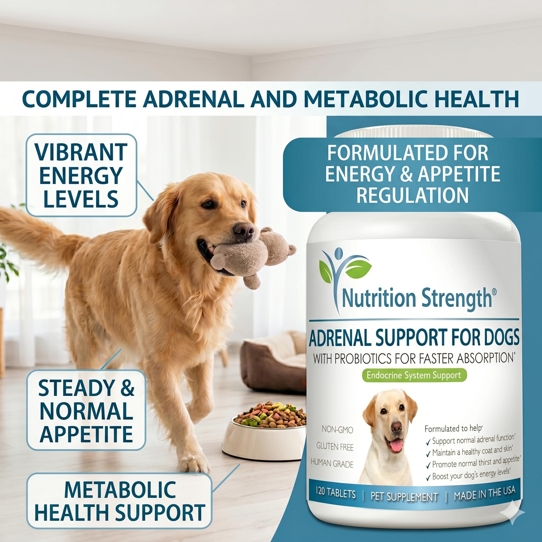 Nutrition Strength Adrenal Support for Dogs senior dog enjoying a walk reflects daily use.