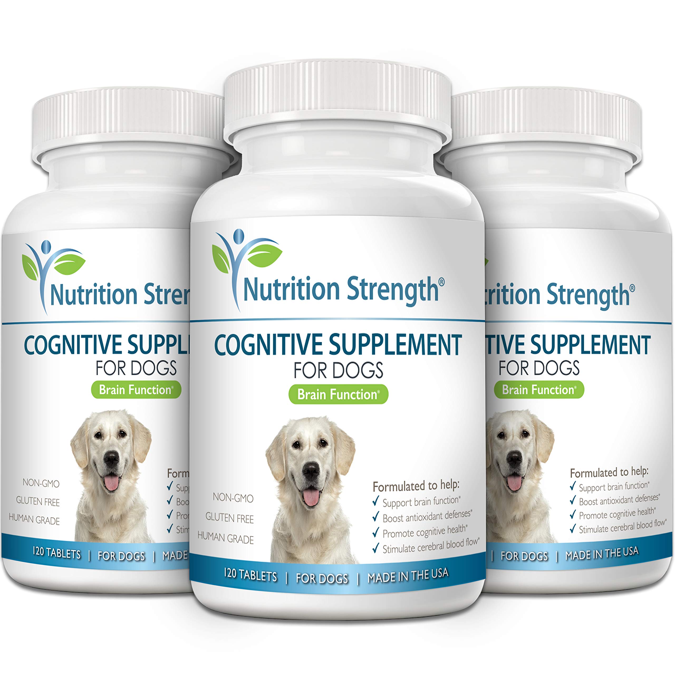 Nutrition Strength bottle label closeup highlights essential vitamins for canine cognitive care