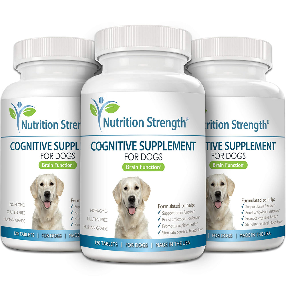 Nutrition Strength bottle label closeup highlights essential vitamins for canine cognitive care