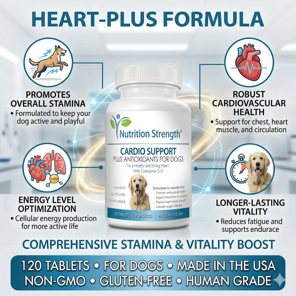 Nutrition Strength Cardio Support antioxidants visual emphasizing circulatory health support.