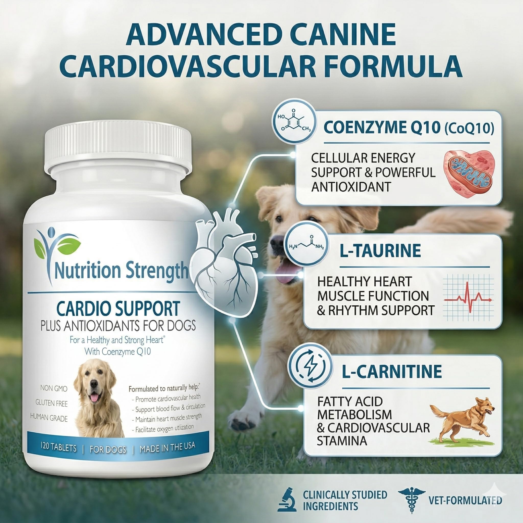 Nutrition Strength Cardio Support chews presented as a tasty daily treat for heart support.