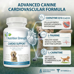 Nutrition Strength Cardio Support chews presented as a tasty daily treat for heart support.