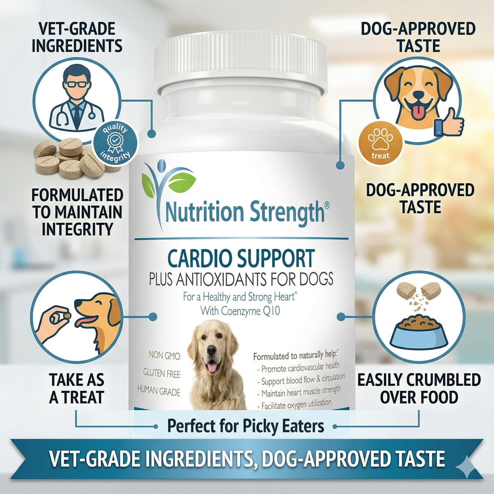 Nutrition Strength Cardio Support tasty daily chew shown as an everyday wellness treat.
