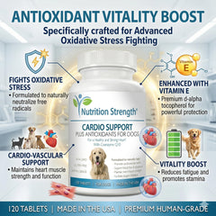 Nutrition Strength Cardio Support ingredients list featuring L-Carnitine, CoQ10 and vitamins.