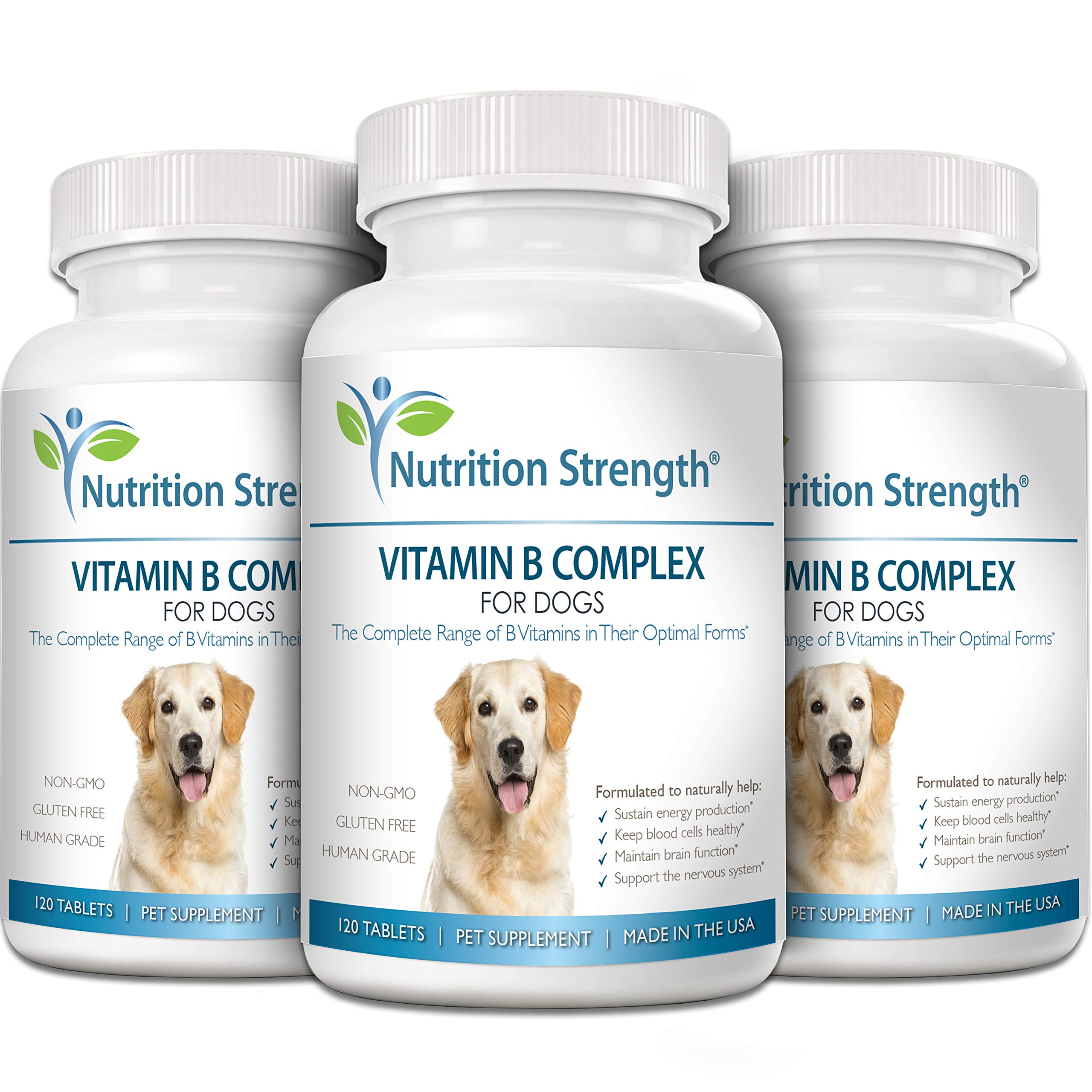 Nutrition Strength cardiovascular support for dogs in a safe daily routine