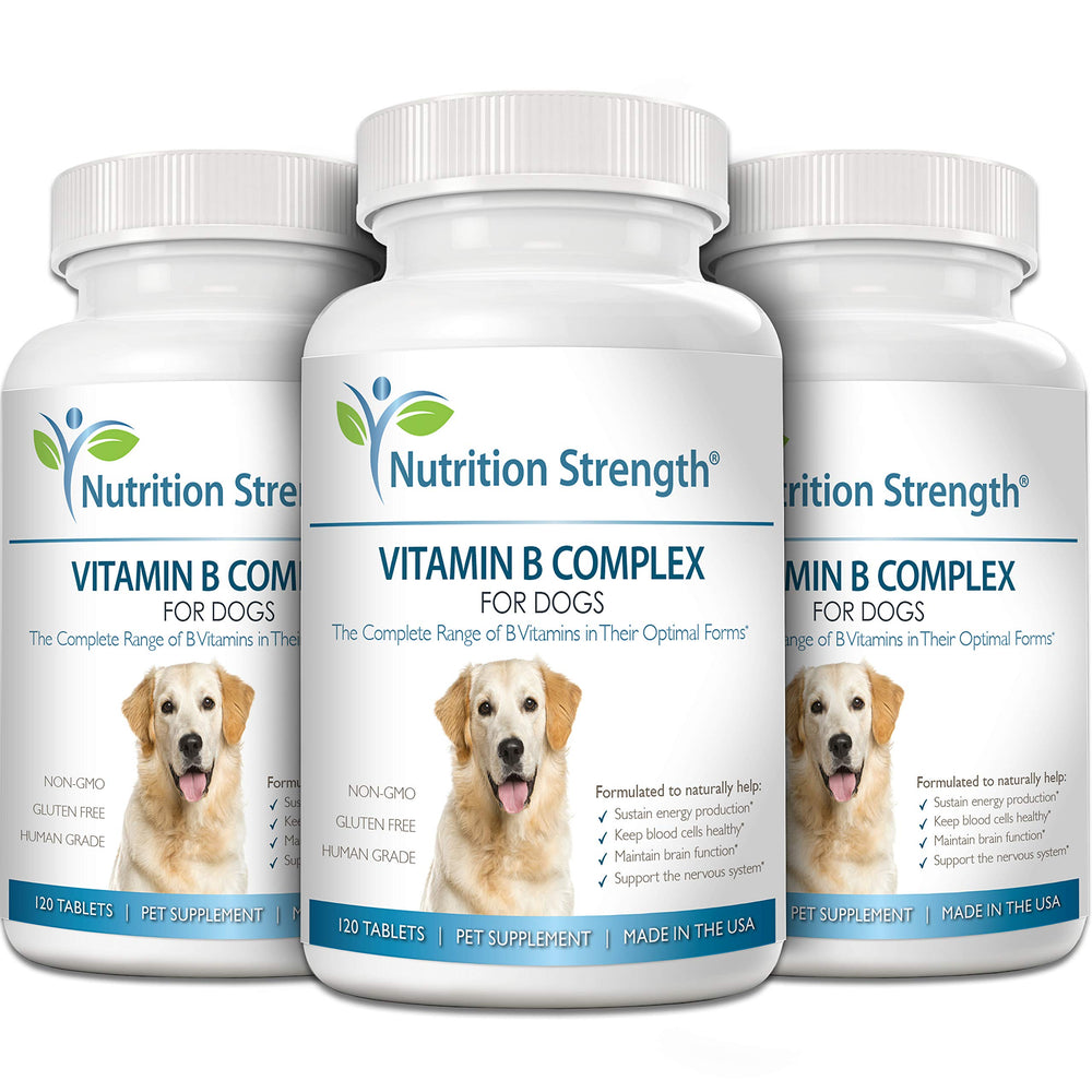 Nutrition Strength cardiovascular support for dogs in a safe daily routine