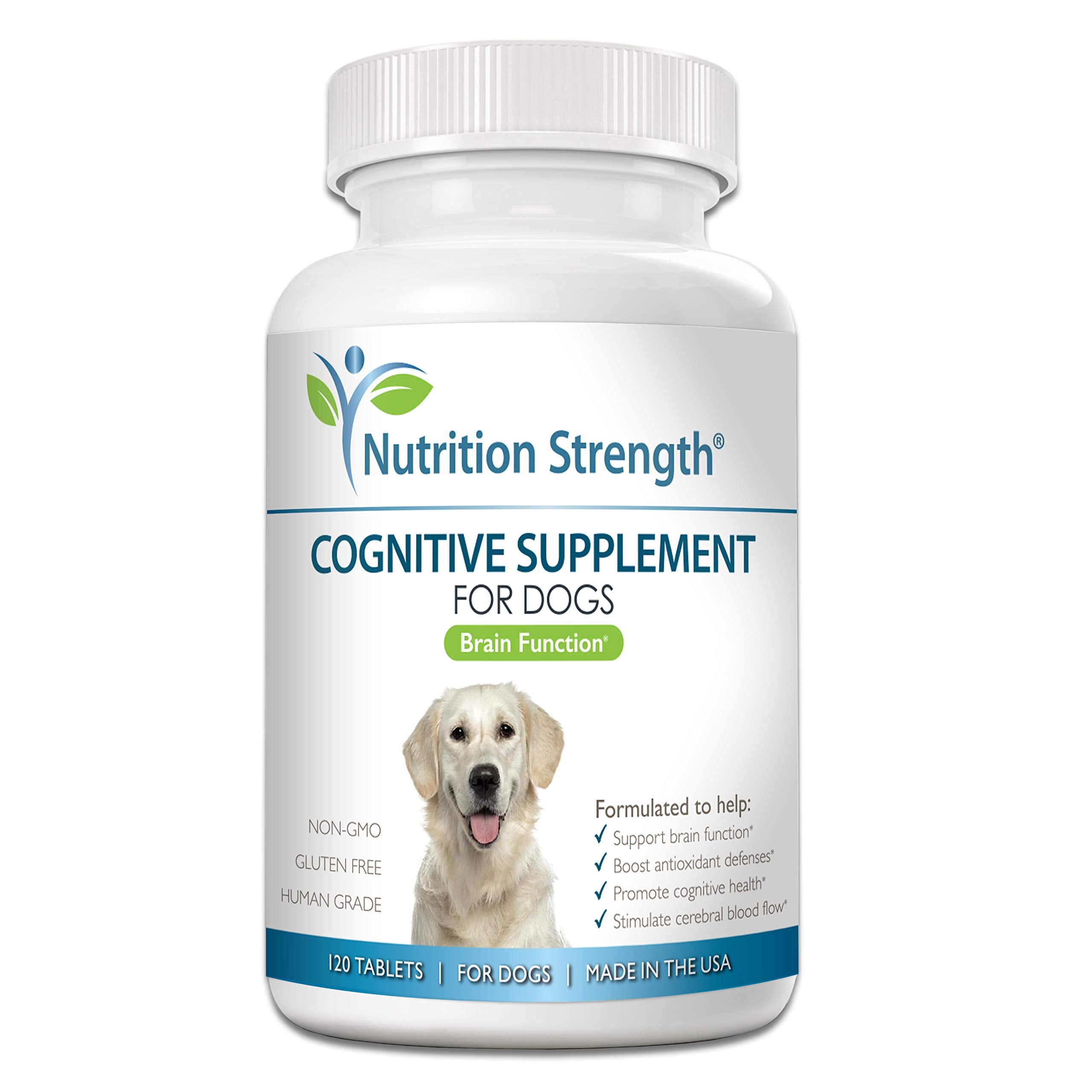 Nutrition Strength cognitive support for dogs bottle shows brain-boosting chews for aging pets