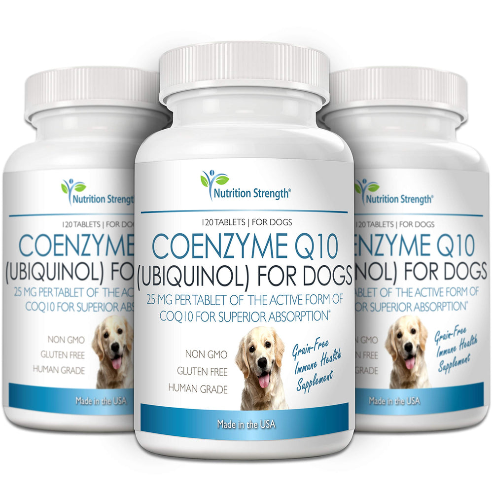 Nutrition Strength CoQ10 for Dogs cognitive support chew enhances alertness.