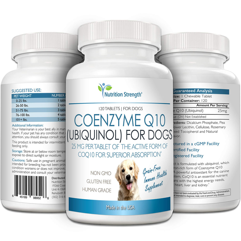 Nutrition Strength CoQ10 for Dogs energy-boosting chew supports daily activity.