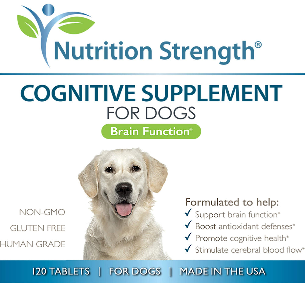 Nutrition Strength daily-serving dose demonstrates simple routine to support canine mental sharpness