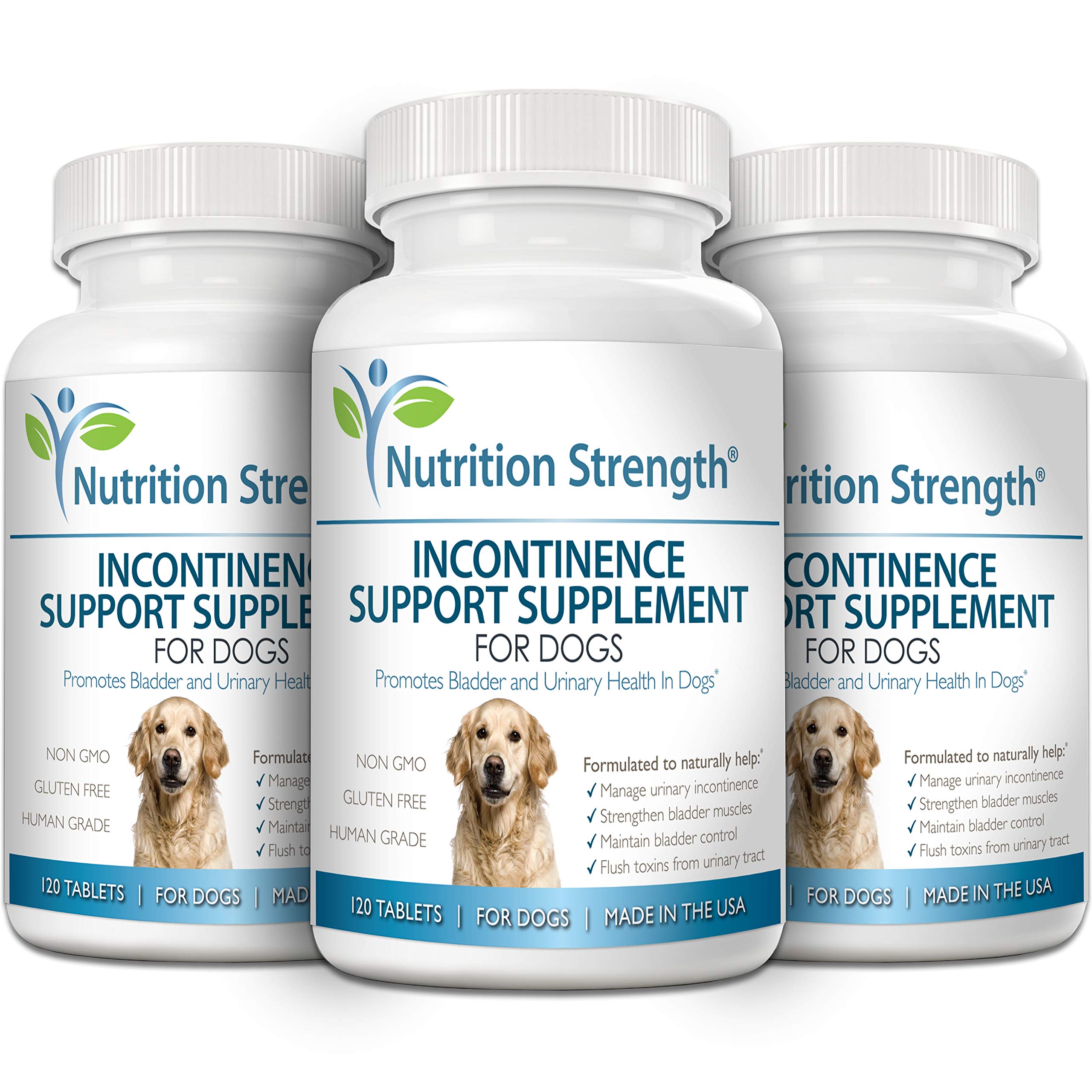 Nutrition Strength dog resting after use, suggesting potential urinary wellness support.
