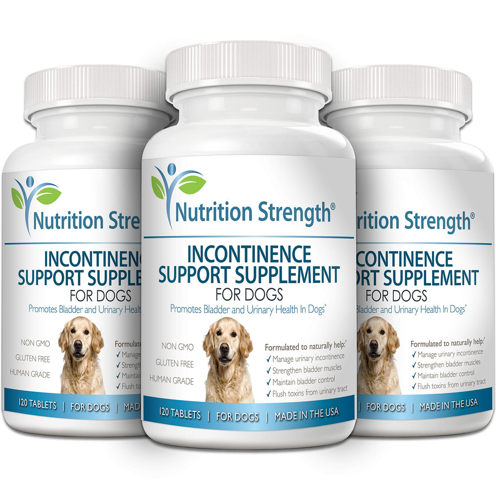 Nutrition Strength dog resting after use, suggesting potential urinary wellness support.