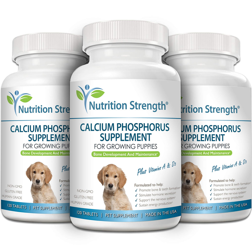 Nutrition Strength dog supplement packaging showing easy daily dosing for pets.