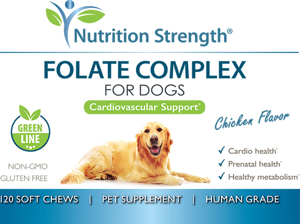 DNA synthesis concept graphic featuring Nutrition Strength folate for cell maintenance.