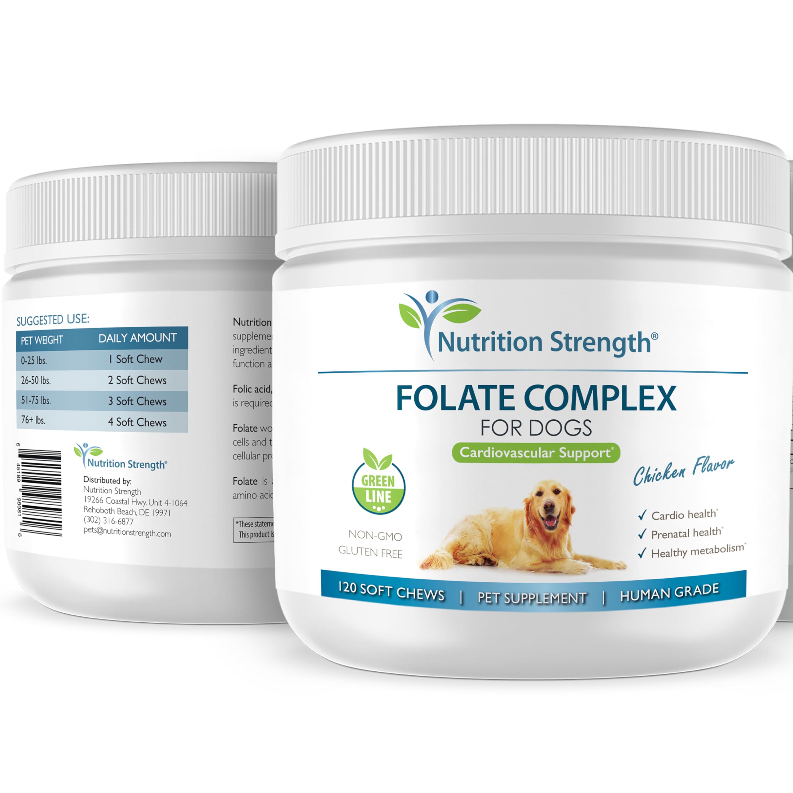 Pregnant dog with Nutrition Strength folate chews, potential prenatal development support.