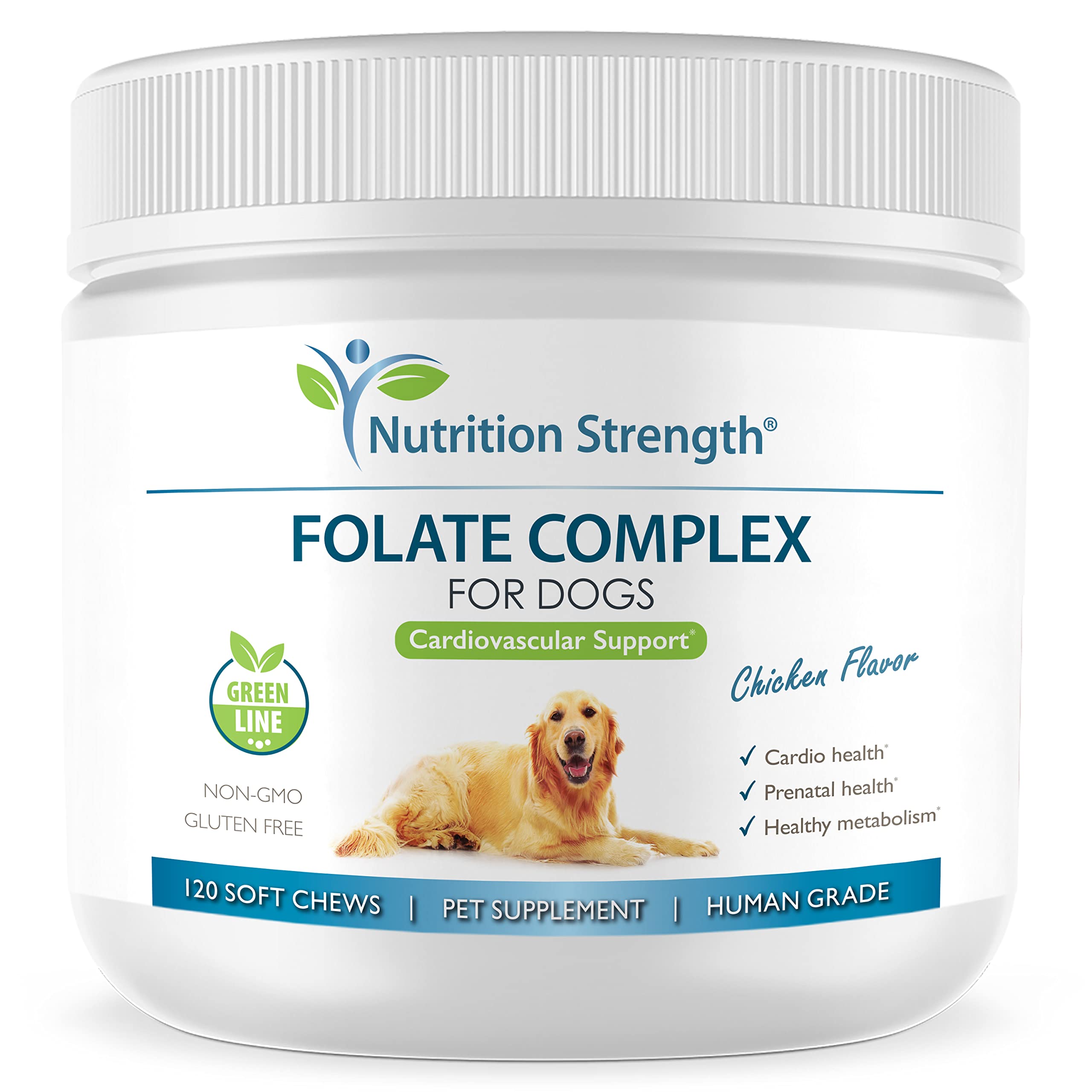 Nutrition Strength Folate soft chews for dogs in a dish, supporting red blood cell formation.