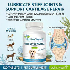 Nutrition Strength GLM dog chews served as treat for joint support.