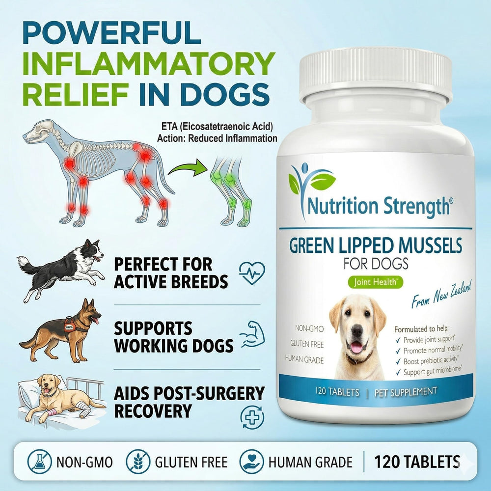 GLM dog supplement supporting gut microbiome and nutrient absorption.