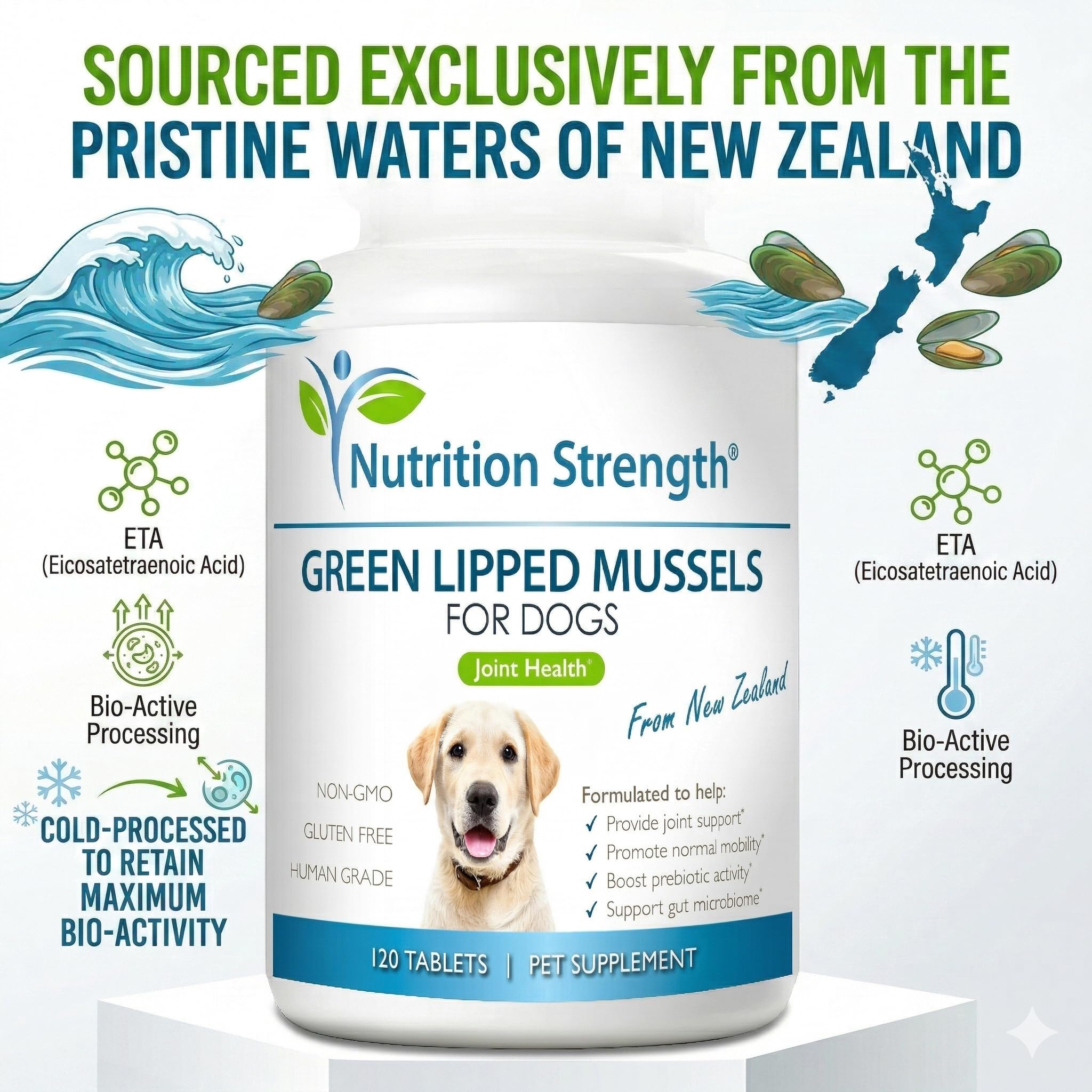 Close-up of Nutrition Strength GLM tablets for dogs aiding mobility.