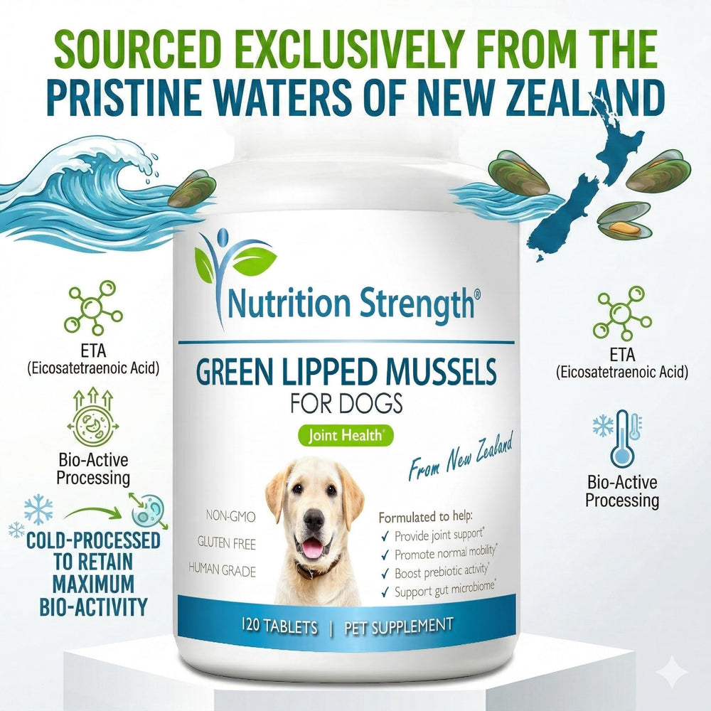 Close-up of Nutrition Strength GLM tablets for dogs aiding mobility.