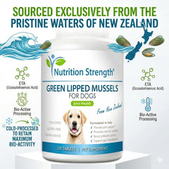 Close-up of Nutrition Strength GLM tablets for dogs aiding mobility.