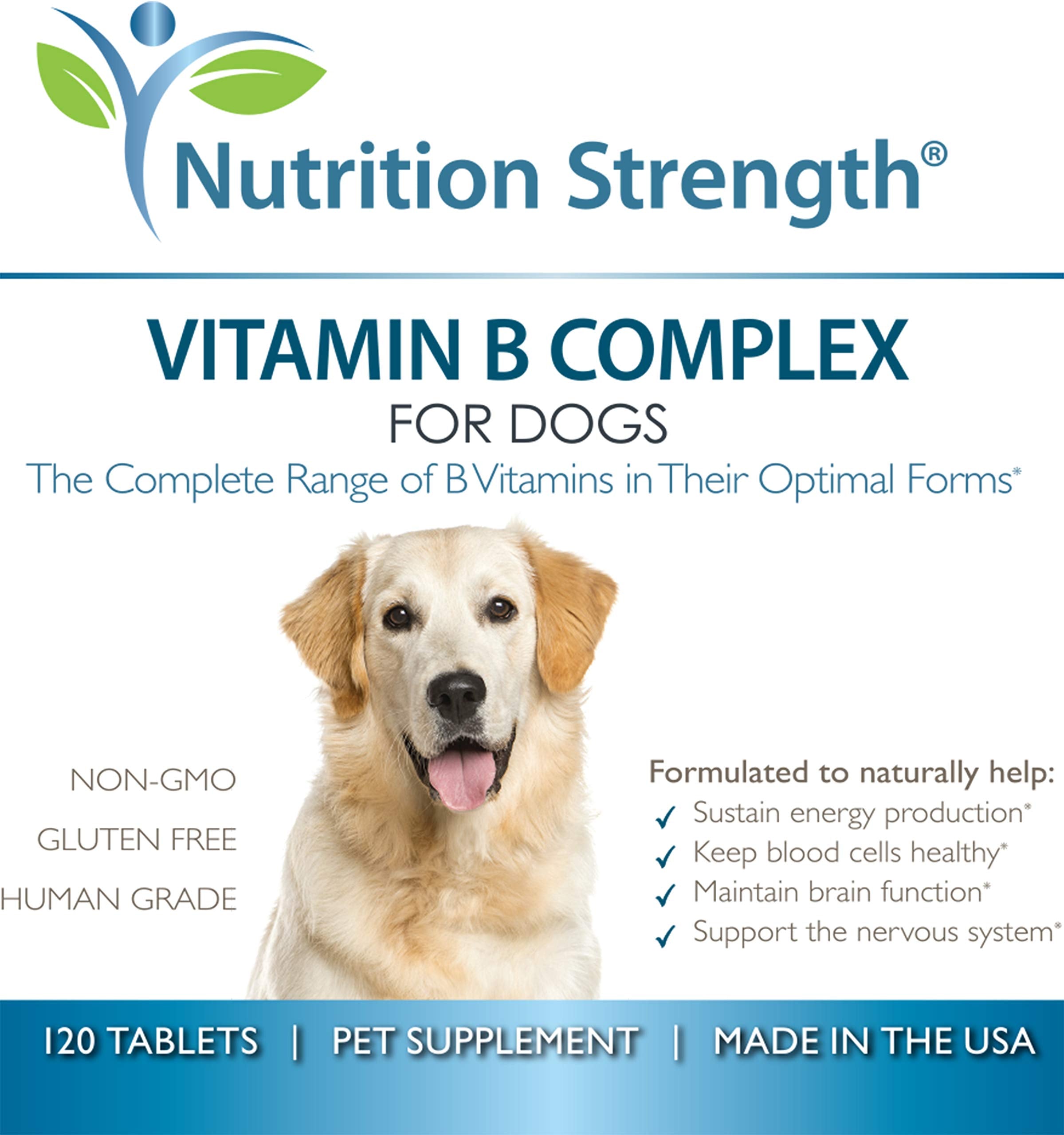 Nutrition Strength made in USA dog supplement bottle on a clean surface