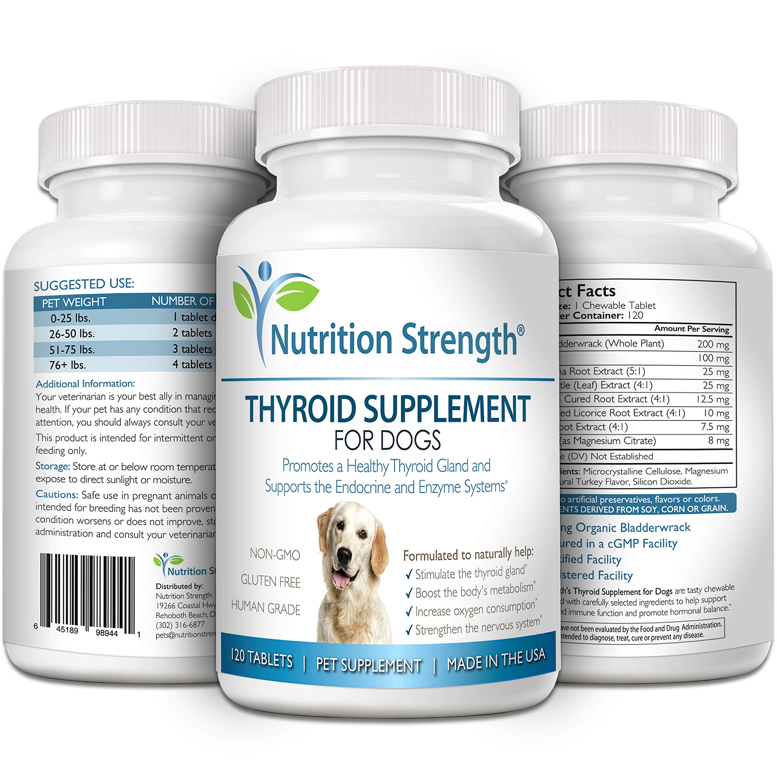 Nutrition Strength thyroid dog active-energy in motion indicating potential energy and vitality.