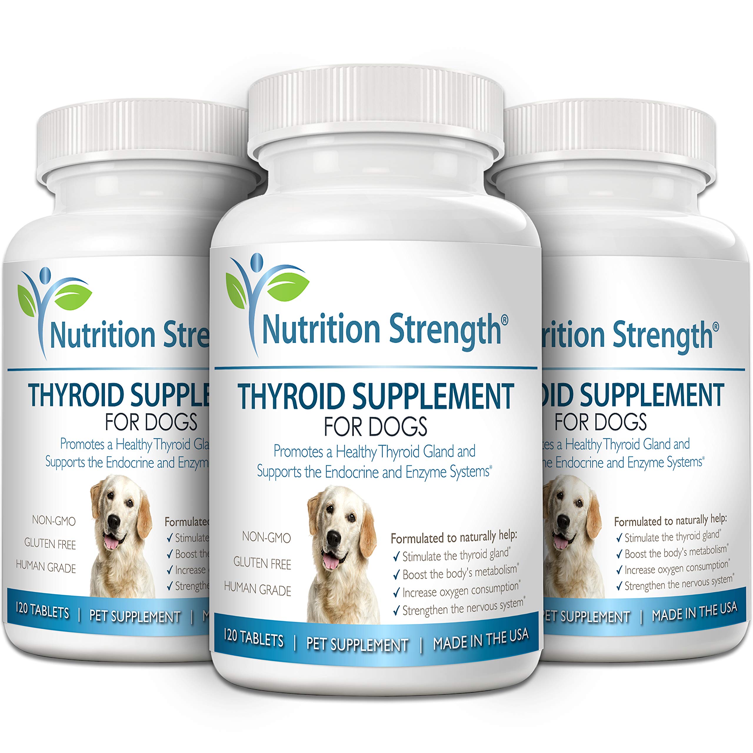 Nutrition Strength thyroid dog endocrine-support concept with calm energy and balanced metabolism.