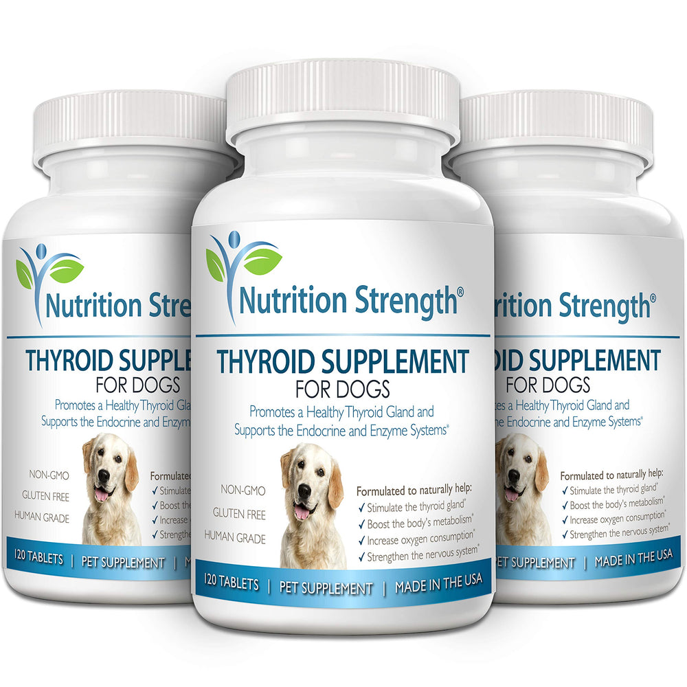 Nutrition Strength thyroid dog endocrine-support concept with calm energy and balanced metabolism.