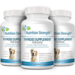 Nutrition Strength thyroid dog endocrine-support concept with calm energy and balanced metabolism.