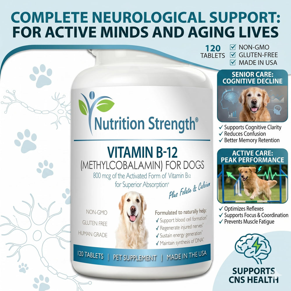 Nutrition Strength Vitamin B12 for Dogs chew tablets ready for daily energy support.