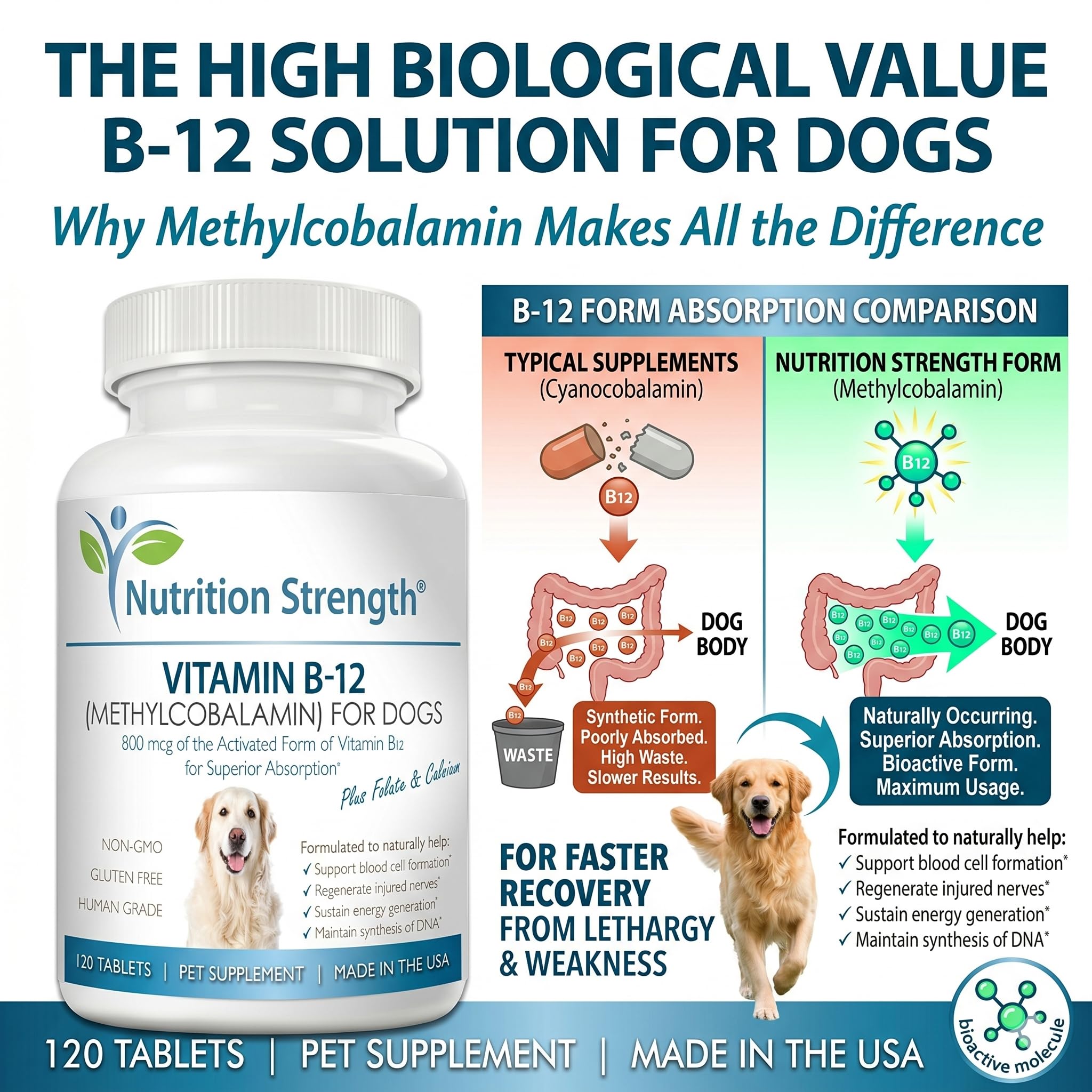 Nutrition Strength Vitamin B12 for Dogs during feeding time with meals.