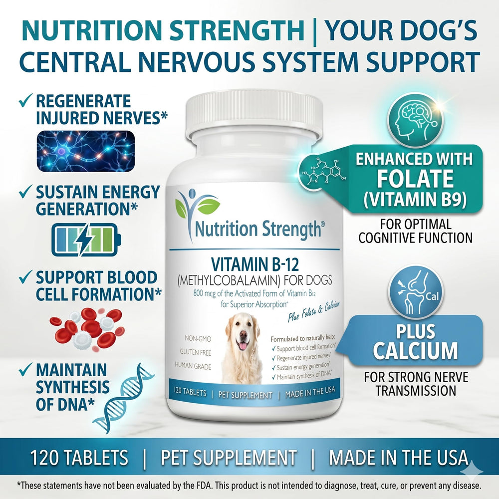 Nutrition Strength Vitamin B12 for Dogs label closeup highlights methylcobalamin content.