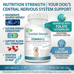 Nutrition Strength Vitamin B12 for Dogs label closeup highlights methylcobalamin content.