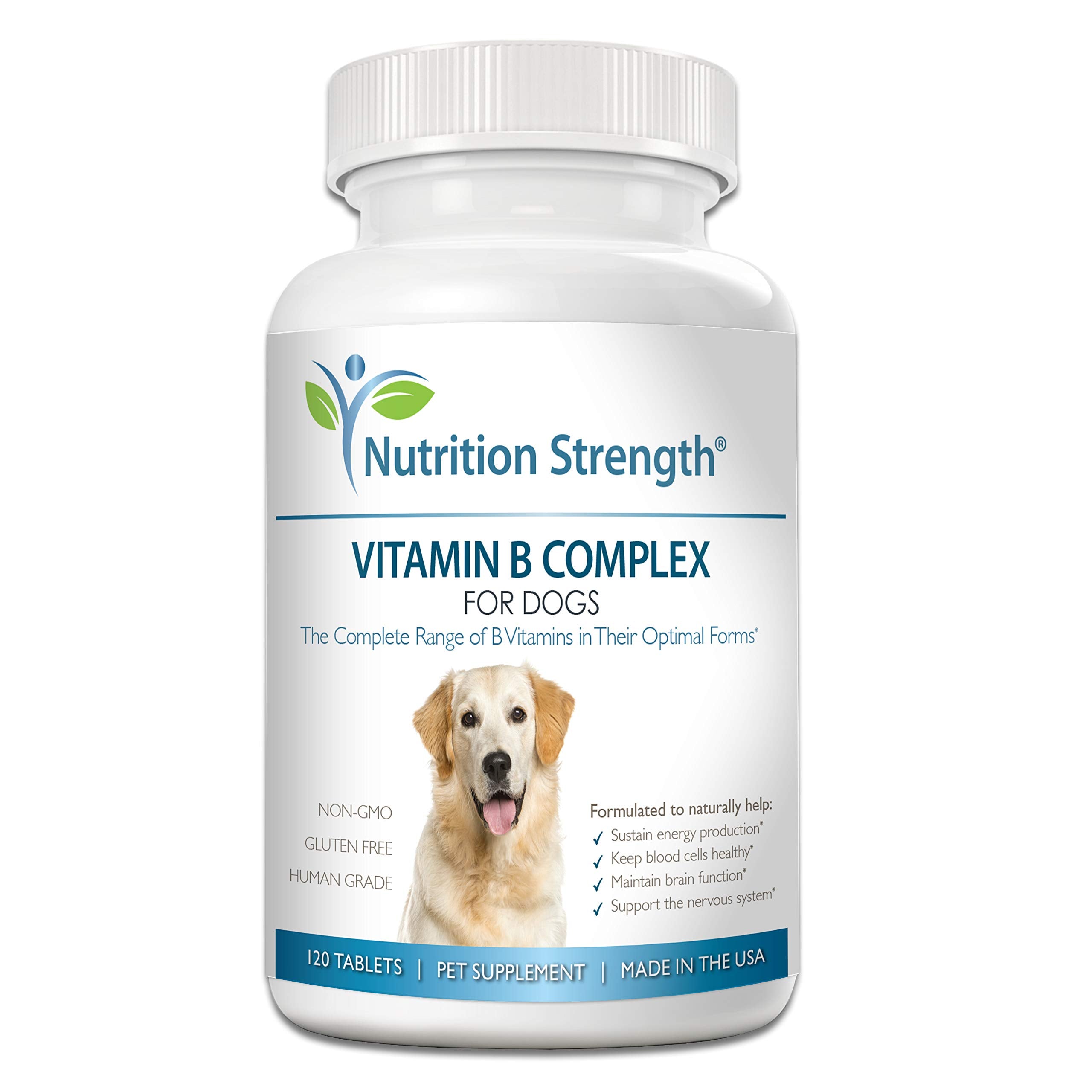 Nutrition Strength vitamin B for dogs tablets shown with a bowl, supporting daily wellness