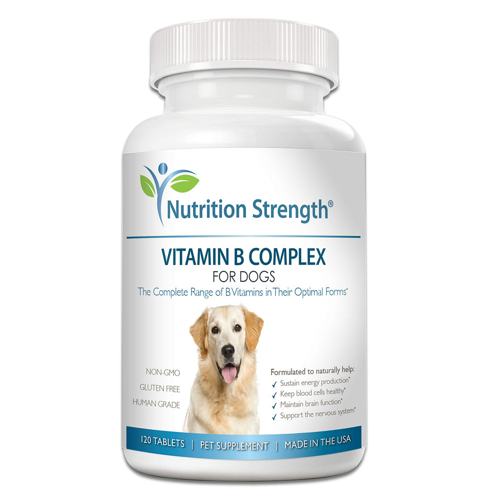 Nutrition Strength vitamin B for dogs tablets shown with a bowl, supporting daily wellness