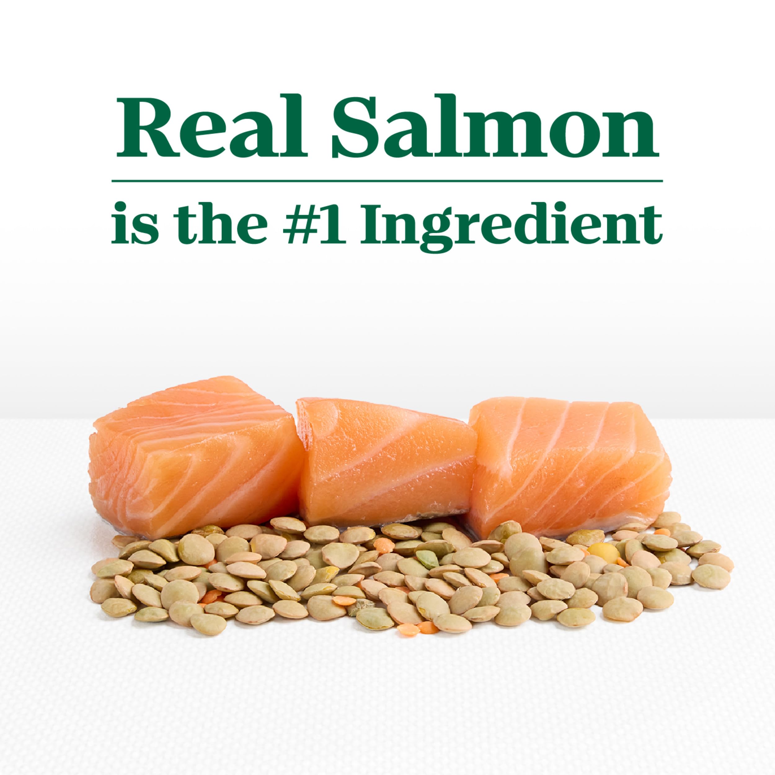 Vitamin E and Selenium antioxidants in Nutro dog food