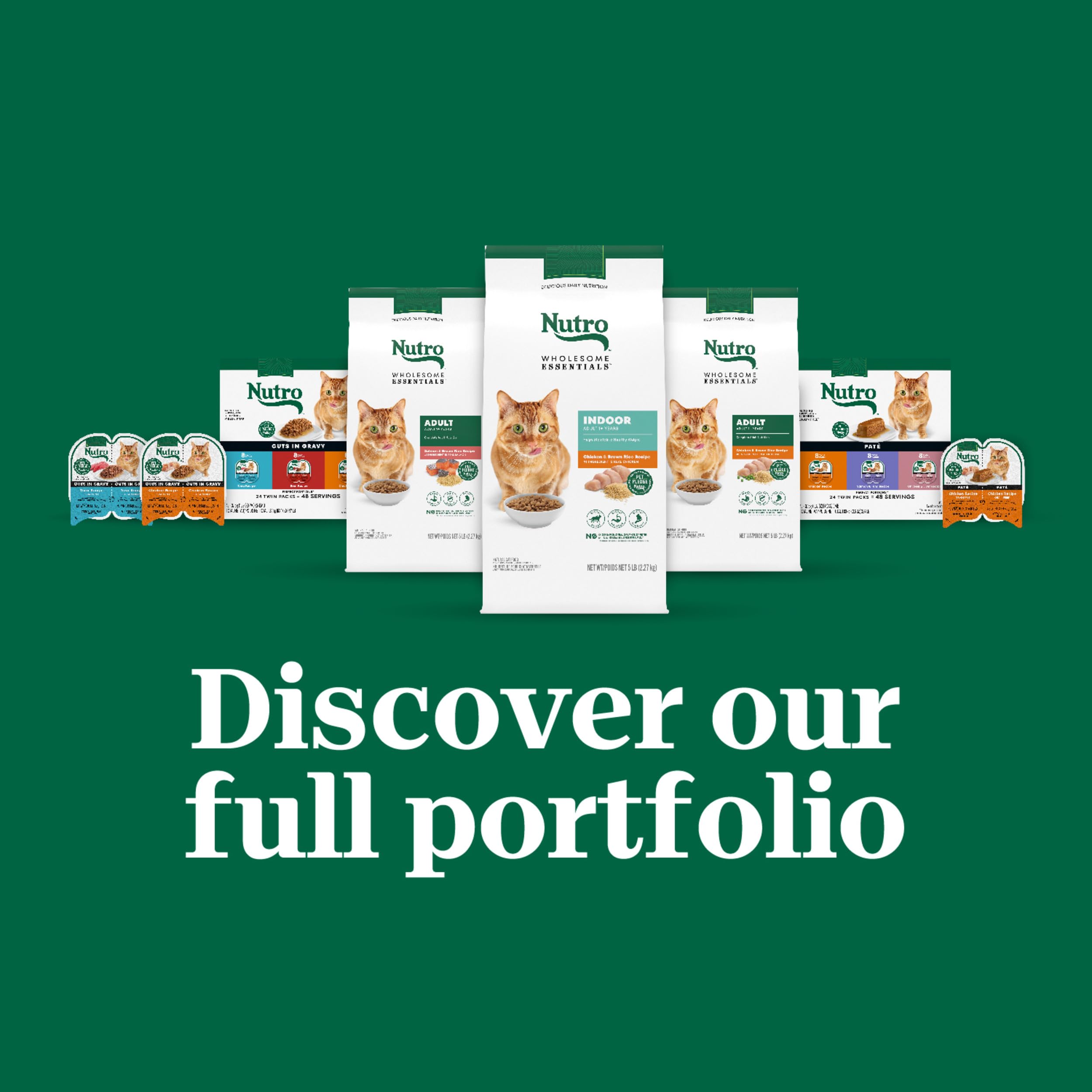 Nutro grain-free recipe without artificial preservatives
