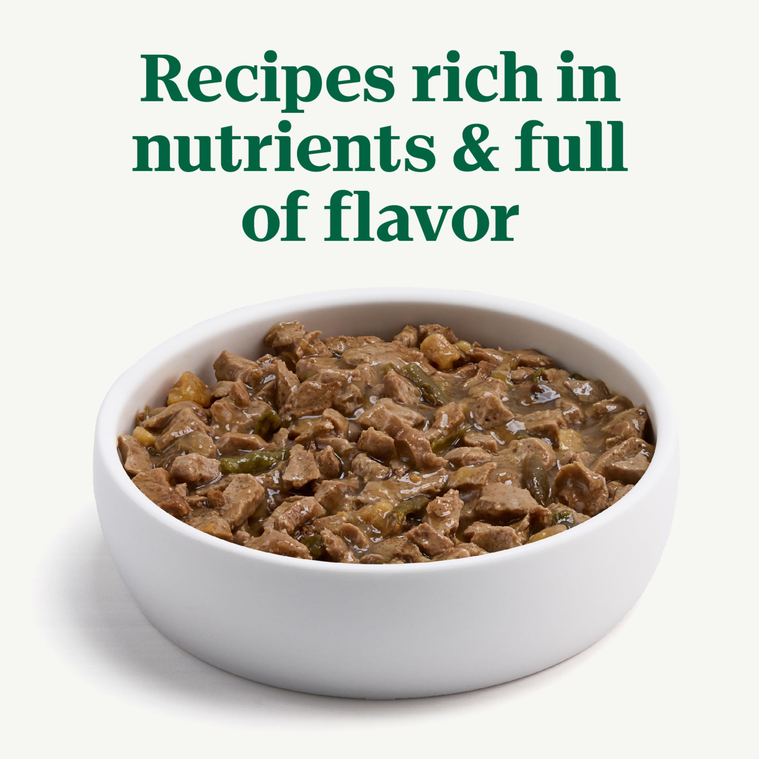 Nutro Hearty Stew gravy texture detail for aroma