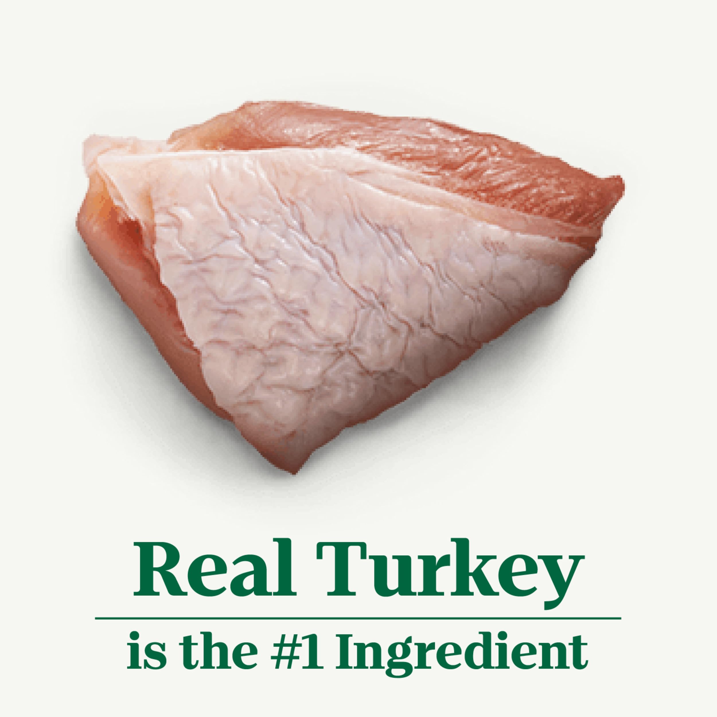 Nutro Hearty Stew green beans and turkey image for texture