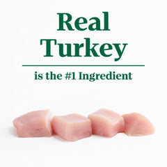Nutro Limited Ingredient Diet turkey loaf closeup; showcases grain-free formula your dog may enjoy