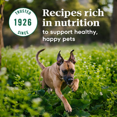Nutro Max large-breed puppy DHA supports brain and eye development in meals