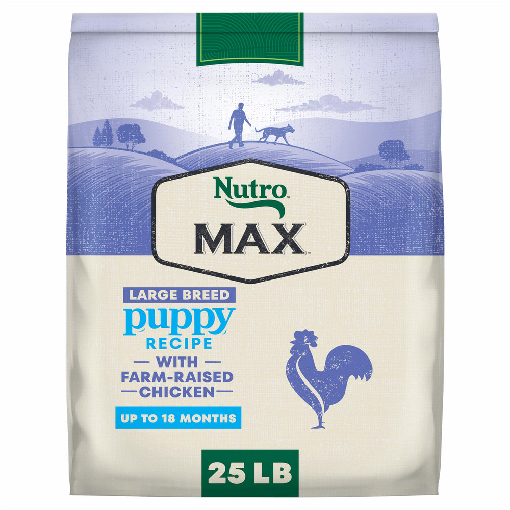 Nutro Max large-breed puppy chicken kibble in a bowl showing a tasty, balanced meal