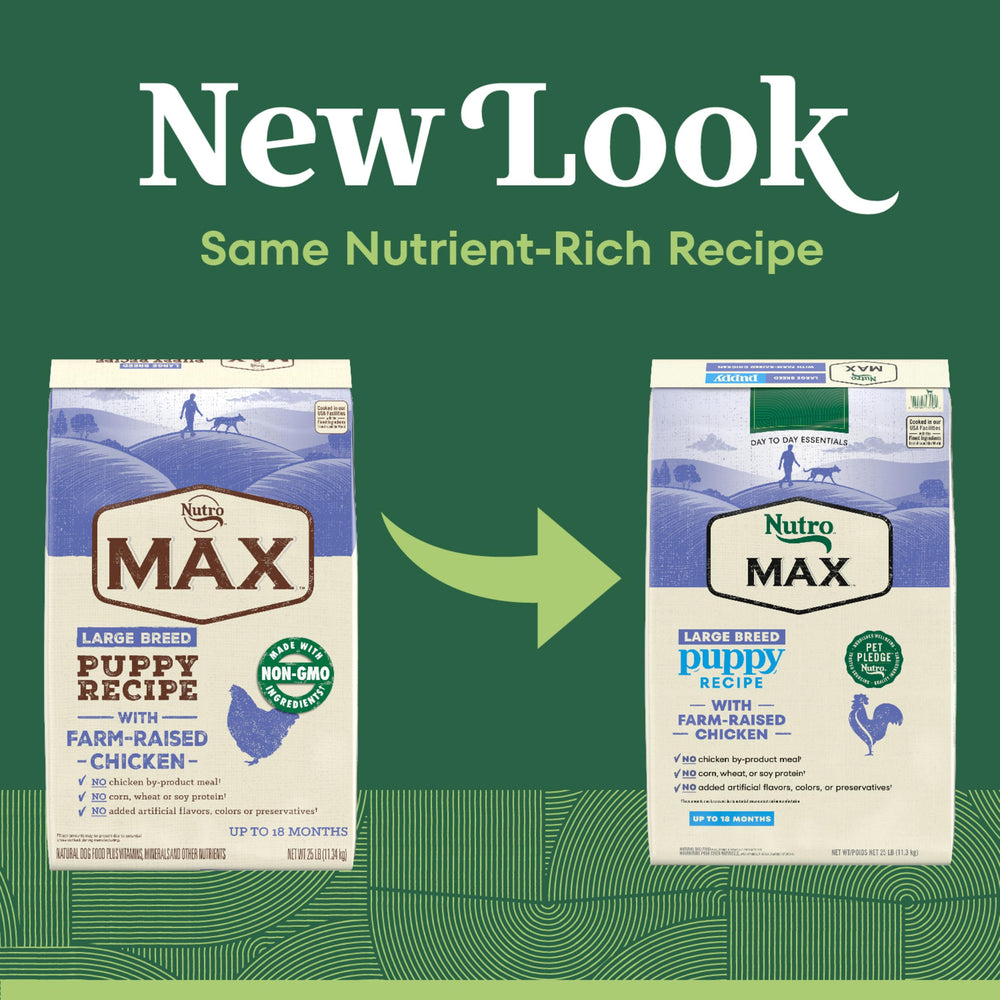 Nutro Max large-breed puppy dry food bag front highlighting farm-raised chicken