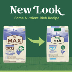 Nutro Max large-breed puppy dry food bag front highlighting farm-raised chicken