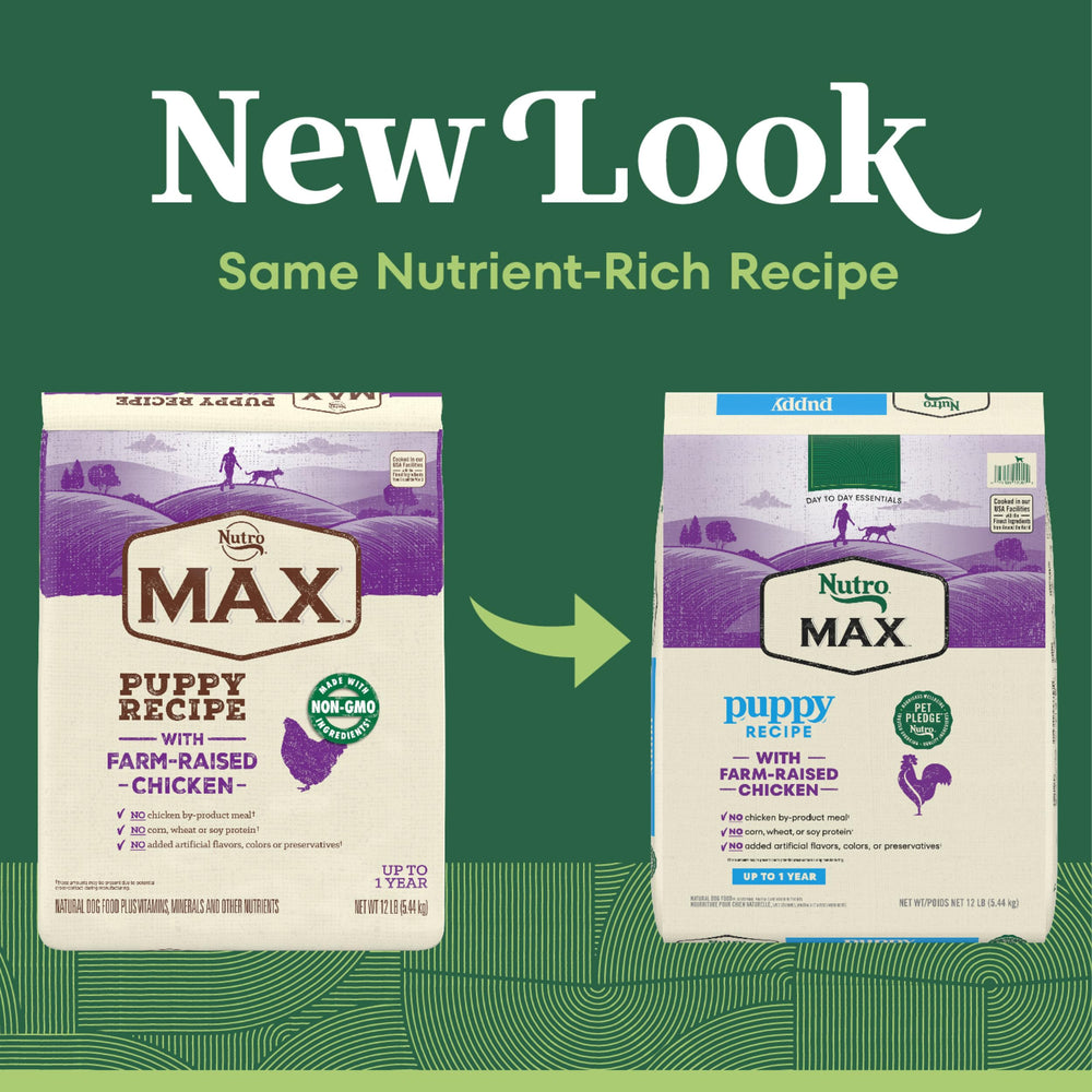 Nutro MAX Puppy Recipe ingredients highlight real farm-raised chicken for puppies